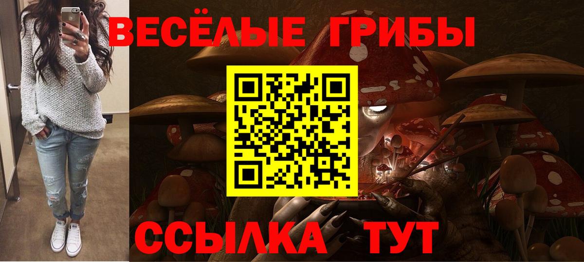 Галлюциногенные грибы мицелий  купить   Симферополь  Вход с VPN 
